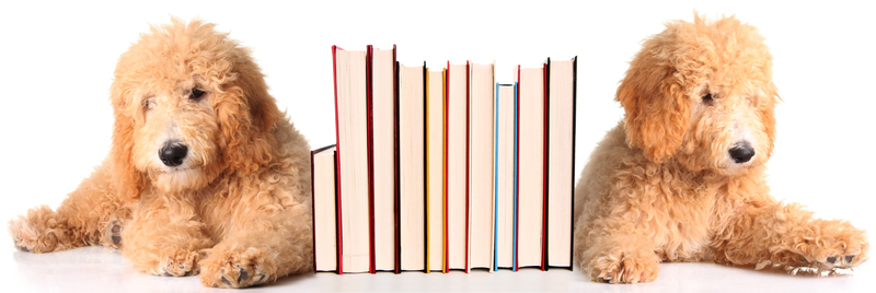 Game-Changing Ideas for Efficient Packaging and Cardboard Disposal